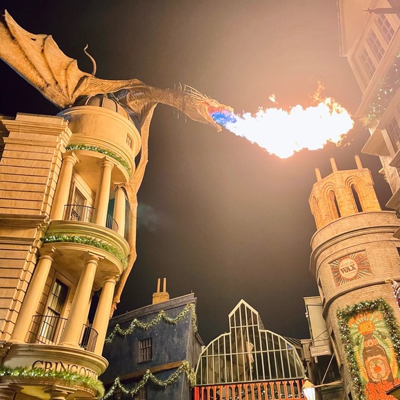 Meet your Posher, Lauren - Picture 9 of 10